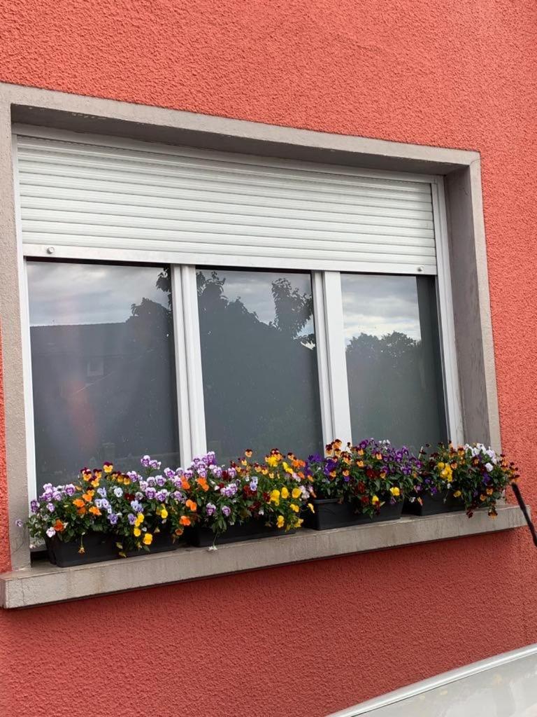 Couleur Framboise Daire Longwy Dış mekan fotoğraf