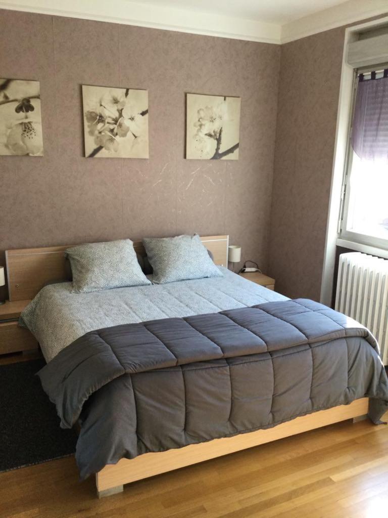 Couleur Framboise Daire Longwy Dış mekan fotoğraf